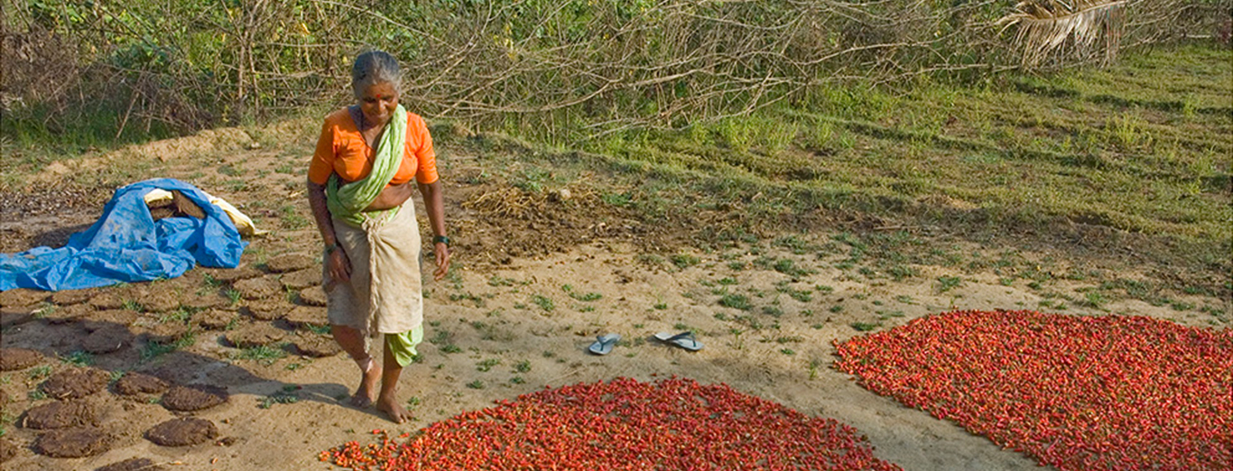 Mujer rural en India